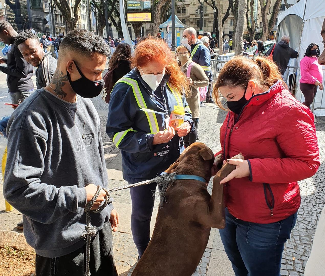 Cena urbana. Segurado pelo dono por uma corda que serve de coleira, um cachorro marrom, esguio, de pelo curto e  simpático fica em pé para brincar com a coordenadora da Cosap, ela é ruiva e veste blusão cor de vinho, ao seu lado está uma agente da Vigilância em Saúde, uniformizada